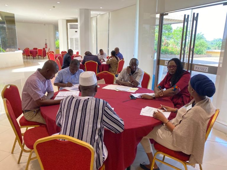 Activité de formation au leadership du PDNA